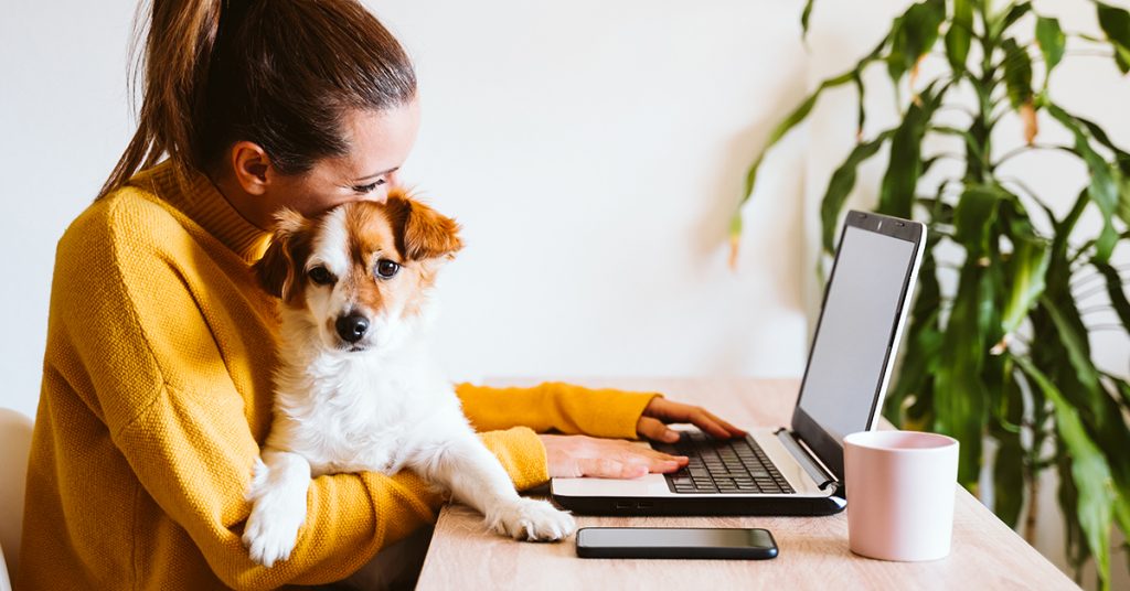 Home office produktivitási tippek – így maradj fókuszált és kiegyensúlyozott otthonról dolgozva