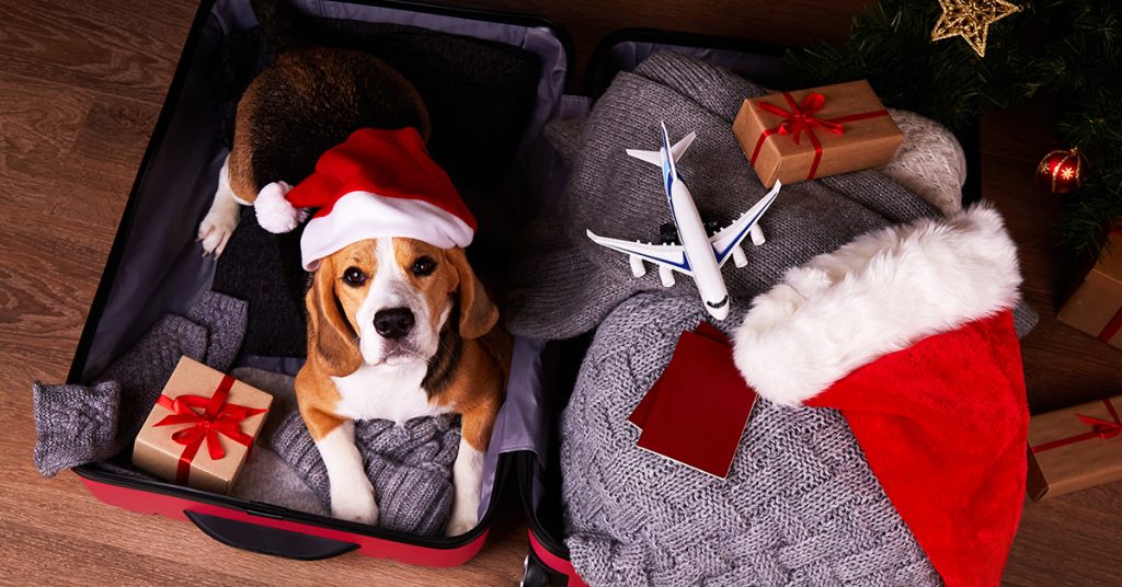 Téli utazás? Így szervezd meg okosan, hogy minden flottul menjen